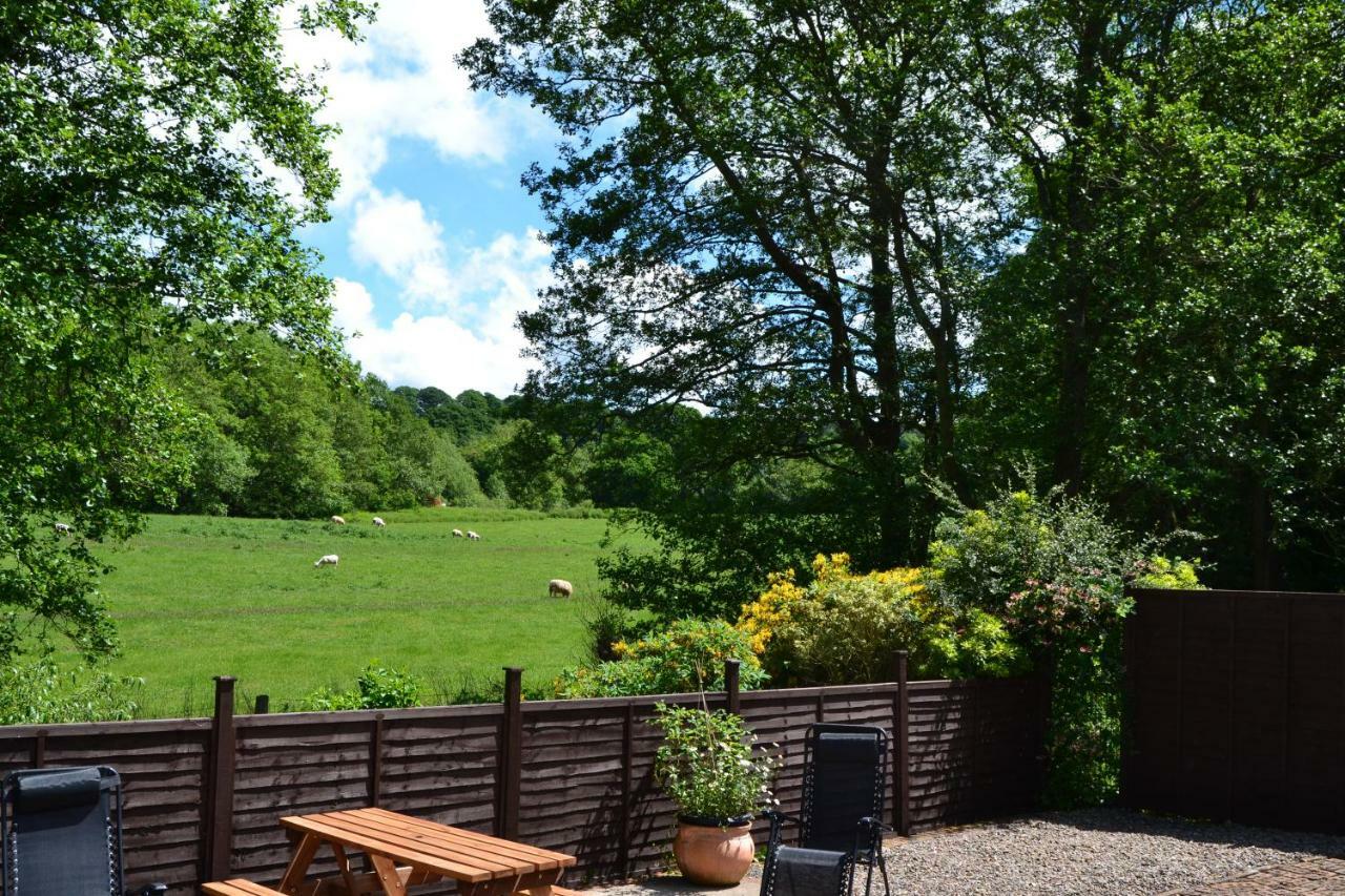 Вілла Arrowwood Self Catering Кінгтон Екстер'єр фото